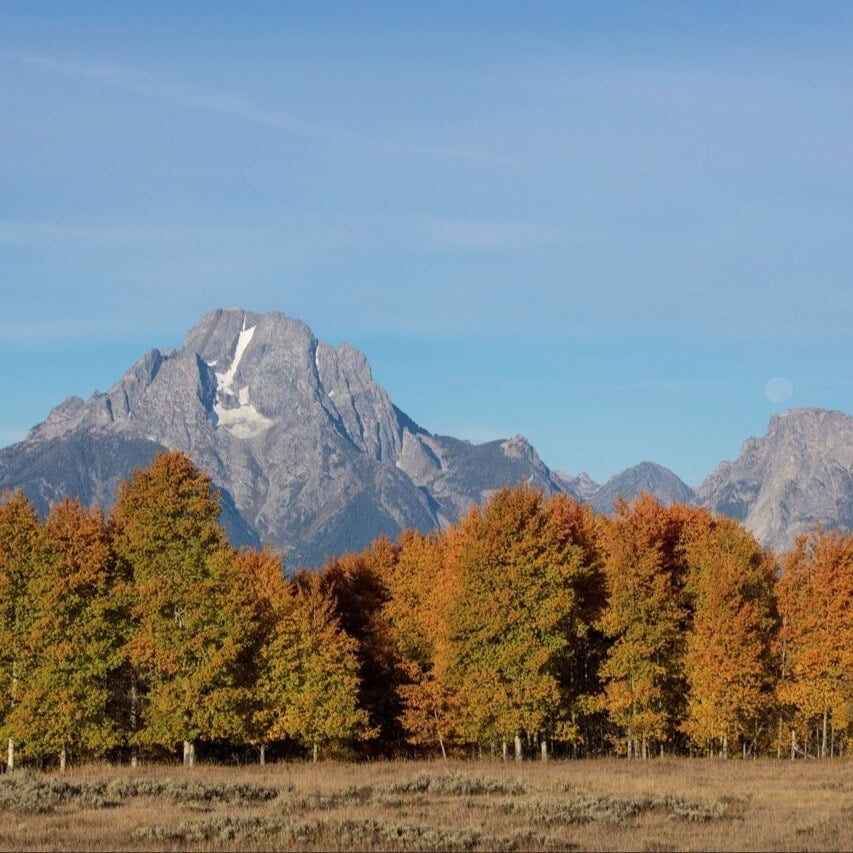 Tetons moon Large sq