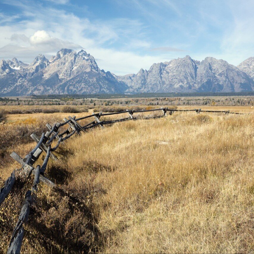 tetons Large sq